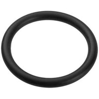 Pentair Sta-Rite Cristal-Flo Filter Valve Flange O-Ring - U9-371