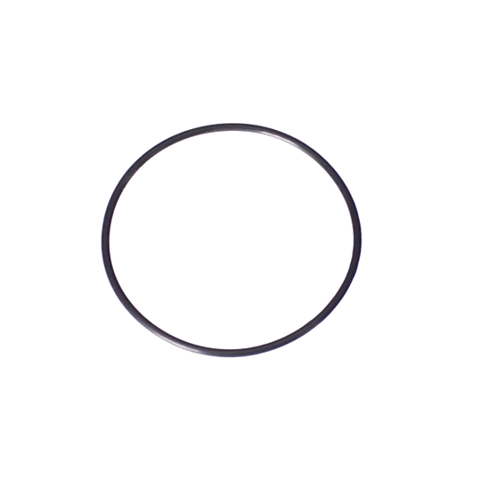 Polaris O-Ring Kit, Back-Up Valve For | G58