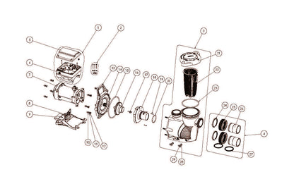 Pentair IntelliFloXF Variable Speed Pump 3 HP 022056 parts diagram