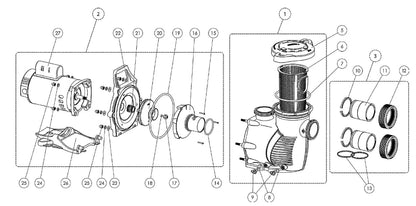 Pentair WhisperFloXF High Performance Pump 5 HP 208-230/460V 13.9-13.1/6.6 Amp 022019 parts diagram
