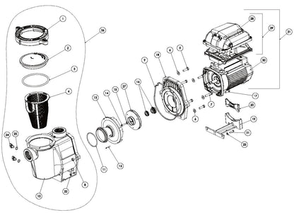 Pentair WhisperFlo VST Variable Speed Pump 011533 parts diagram