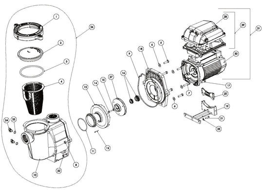 Pentair WhisperFlo VST Variable Speed Pump 011533 parts diagram