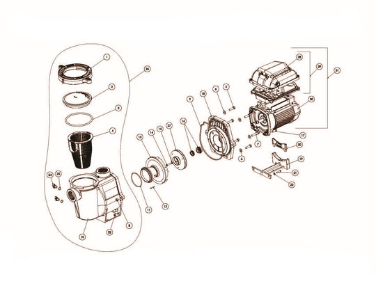 Pentair WhisperFlo Variable Speed 2.6HP Pool Pump EC-011533 parts diagram
