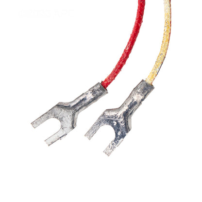 Jandy Main Burner Pilot Assembly Lp - R0099200