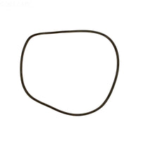 Jandy CL/ CV/ DEL/ DEV Tank O-Ring - R0357800