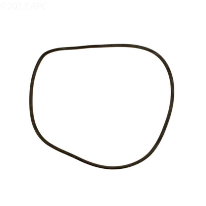 Jandy CL/ CV/ DEL/ DEV Tank Oring - R0357800