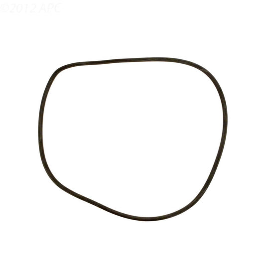 Jandy CL/ CV/ DEL/ DEV Tank Oring - R0357800