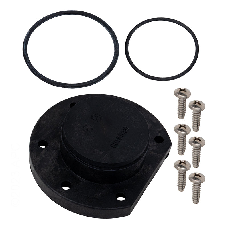 Jandy Return Header Cap & O-Ring LXI - R0454600