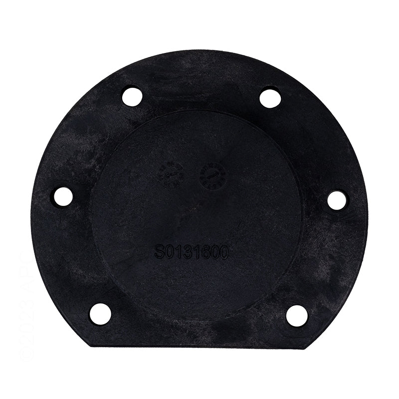 Jandy Return Header Cap & O-Ring LXI - R0454600