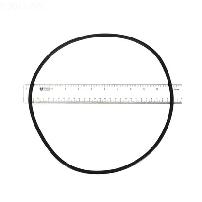 Jandy Pro Series Tank Top O-Ring - R0462700