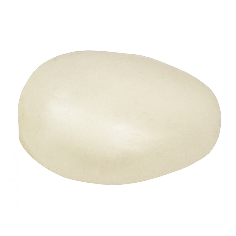 Zodiac T5 Float - R0509000
