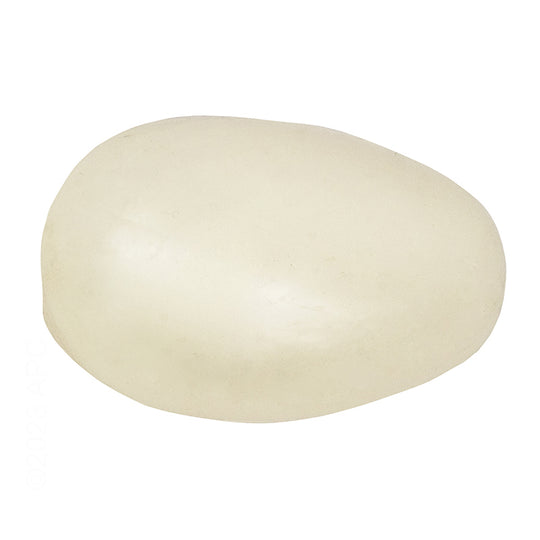 Zodiac T5 Float - R0509000