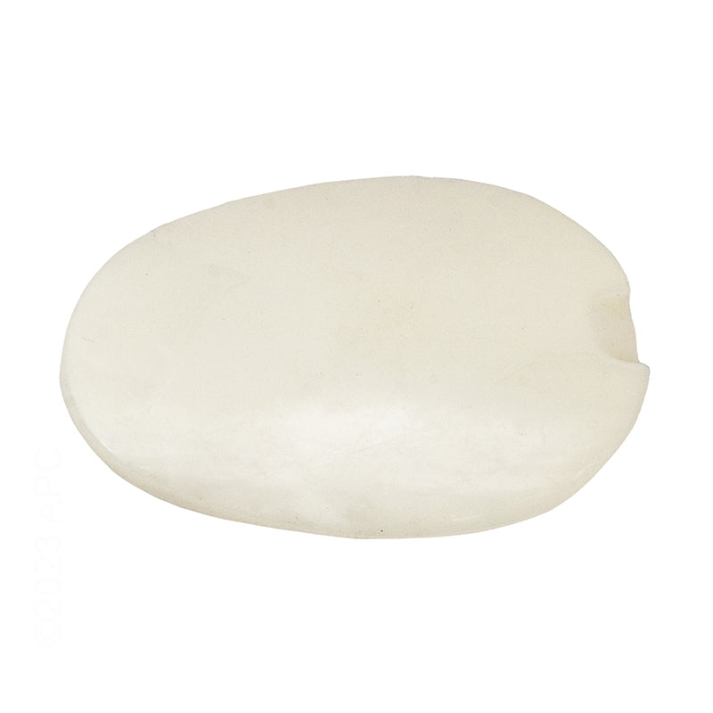 Zodiac T5 Float - R0509000