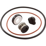Polaris PB4SQ Booster Pump O-Ring Set w/ Drain Plug - R0734300