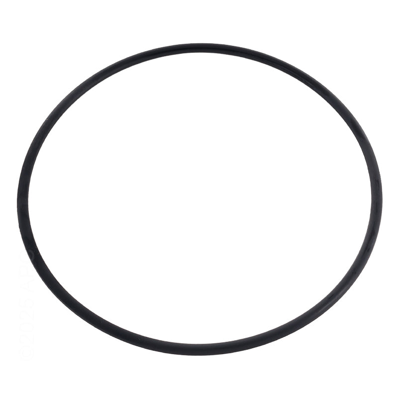 Jandy Valve Tank O-Ring - R0745800