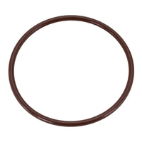 Jandy O-Ring Cover Truchlor - R0966900
