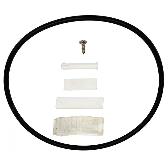 Pentair Large Leaf Canister Latch and O-Ring Kit - R211600