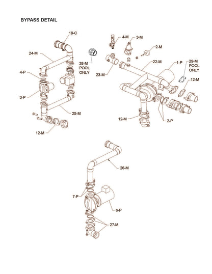 Raypak XTHerm Natural Gas Heater 97% EE 1999K BTU with CSD-1 100-10006508 parts diagram