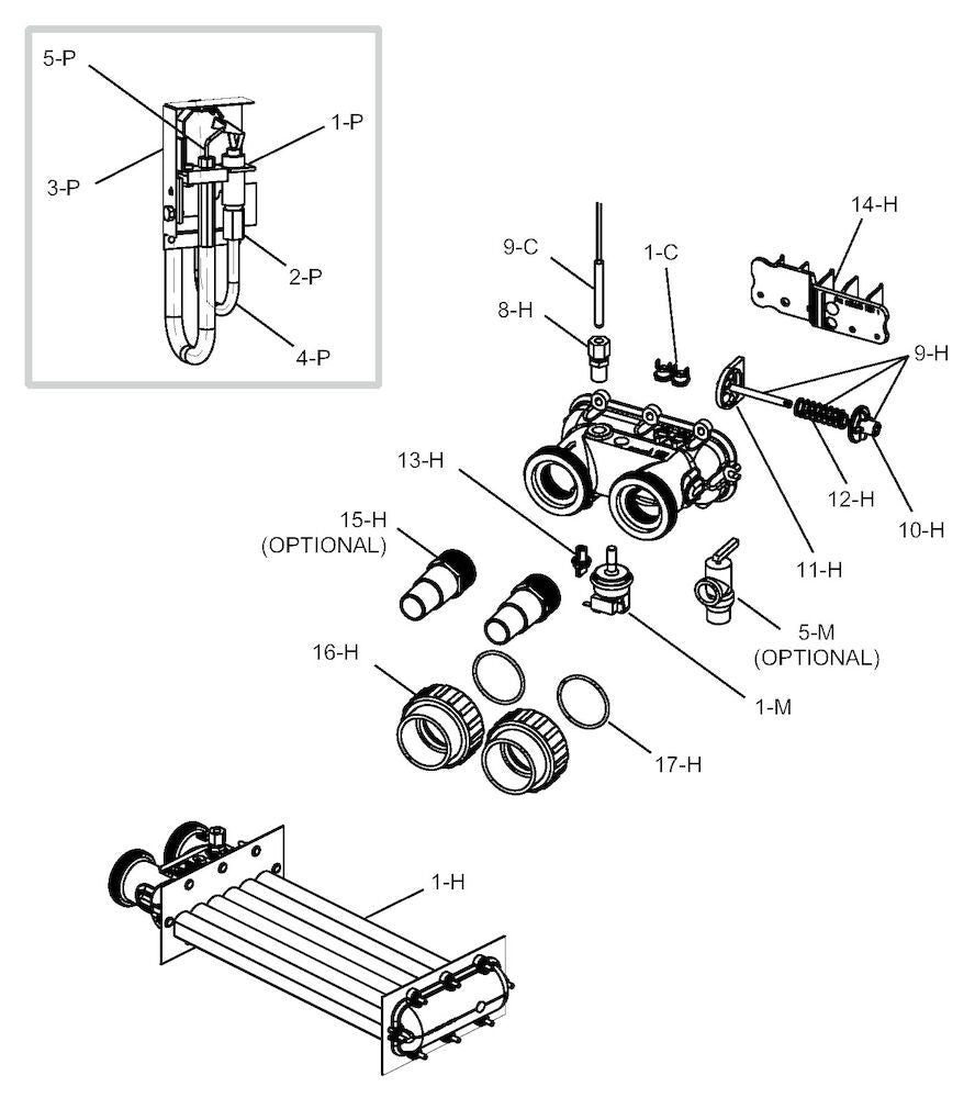 Raypak Natural Gas Electric Heater 106K BTU 014779 parts diagram