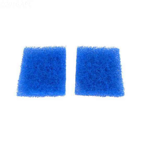 Hayward Door Filter Element, 2/Pack - RCX97417SPAK2