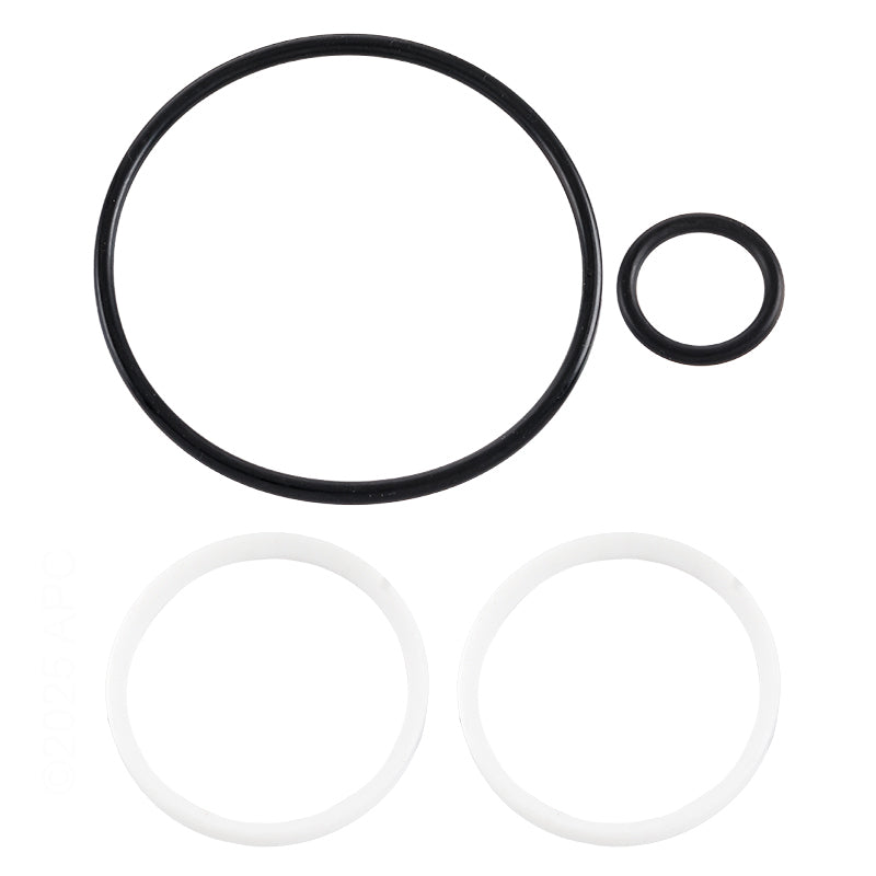 Hayward O-Ring & Ball Seal Kit - SPX0724GA