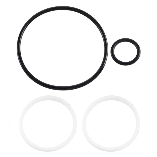 Hayward O-Ring & Ball Seal Kit - SPX0724GA