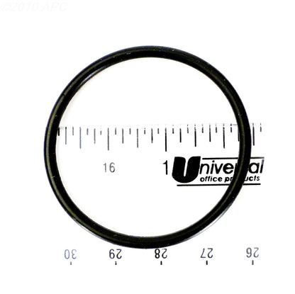 Hayward Union O-Ring - SPX1491B