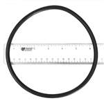 Hayward Strainer Cover O-Ring - SPX3200S