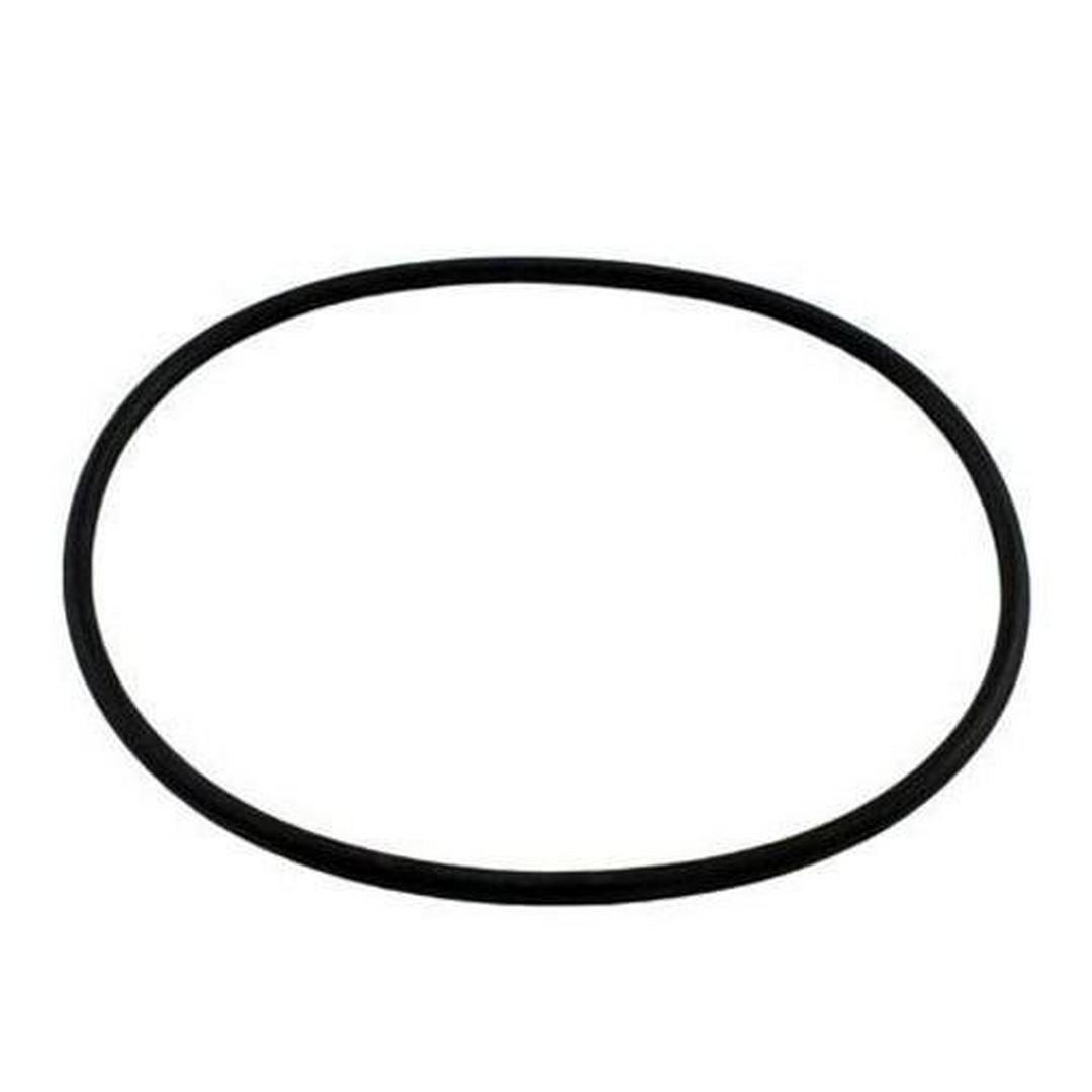 Swimables Hayward Style, Pentair Style Leaf Canister Oring - SW-80-330