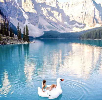 Swimline Original Giant Swan Ride-On Pool Float | 90621
