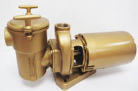 Val-Pak 1 HP Pump & Motor 60/50 Hz 5" Trap 2" Suction 230/460v 3PH V40-507-3