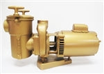 Val-Pak 3 HP Pump & Motor 60/50 Hz 8" Trap 3" Suction (81 lb) 230/460v 3PH V40-510-83