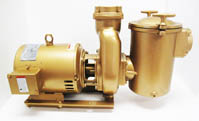 Val-Pak 3 HP Pump & Motor 60 Cycle 1 Phase V40-535