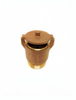 Val-Pak Hydrostatic Relief Valve 2" Brass V50-126