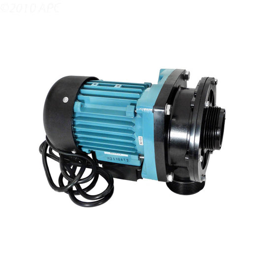 Hayward Pump Without Strainer0 - VLX4009
