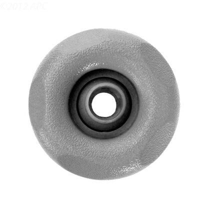 Waterway Gray 5PT Dir Mini Jet Int - 212-1247