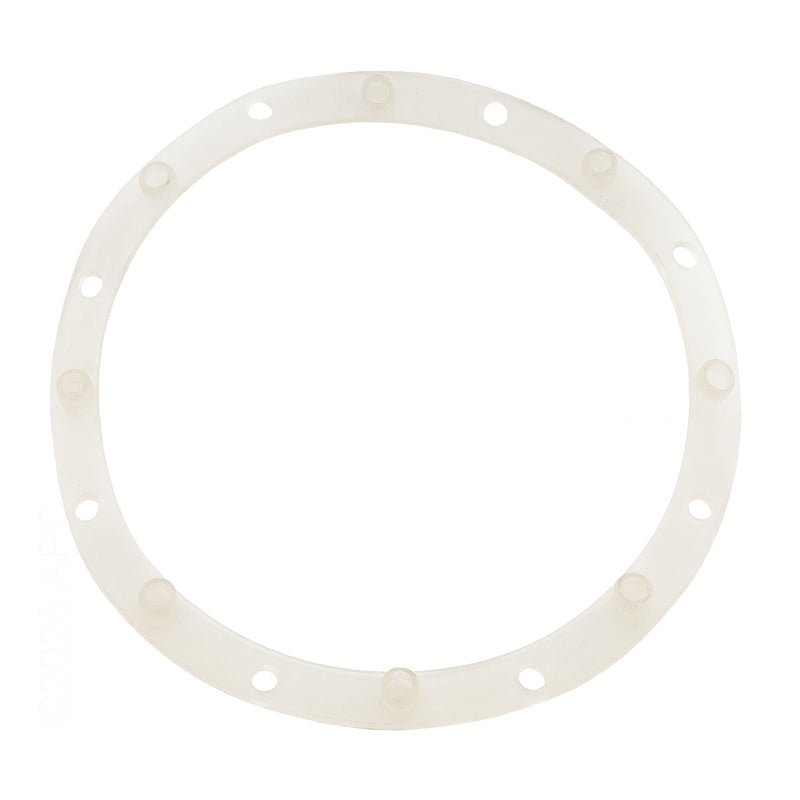 Waterway Gasket Vl Main Drain Body - 711-2600