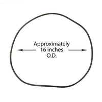 Waterway Lid O-Ring CLEARWATER2 Bag - 805-0460B