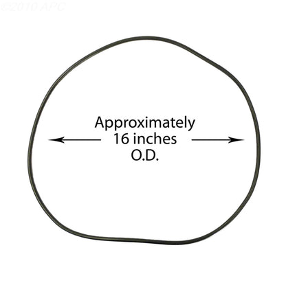 Waterway Lid O-Ring CLEARWATER2 Bag - 805-0460B