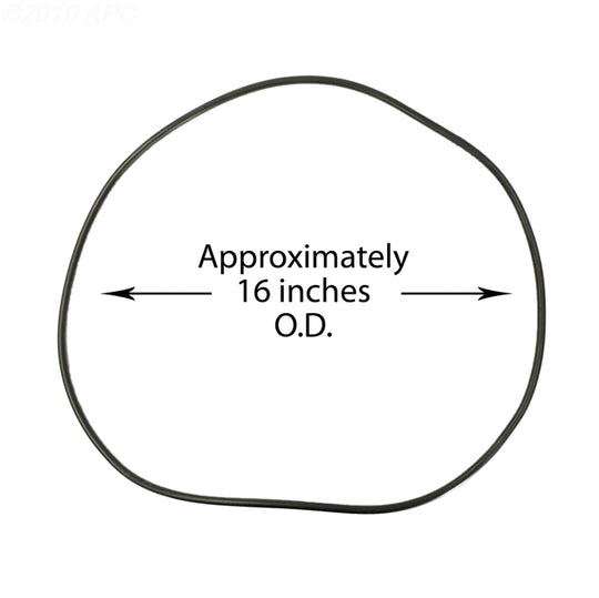 Waterway Lid O-Ring CLEARWATER2 Bag - 805-0460B