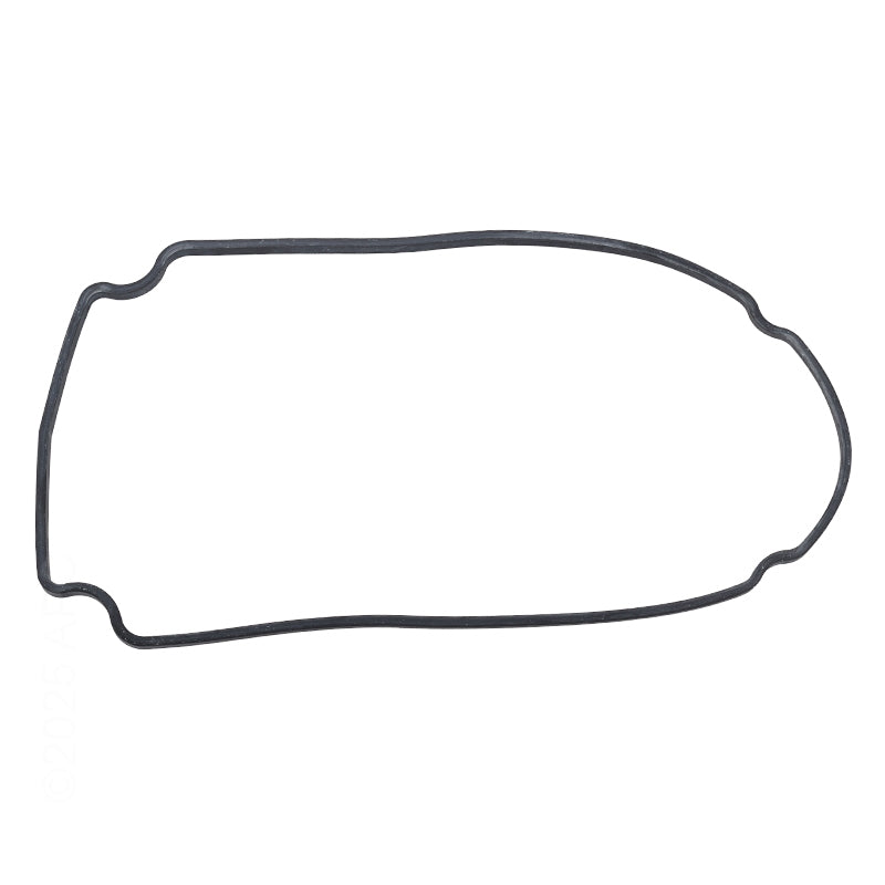 Waterway Seal Plate Gasket Champion/ Smf - 806-1400