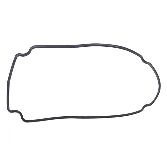 Waterway Seal Plate Gasket Champion/ Smf - 806-1400