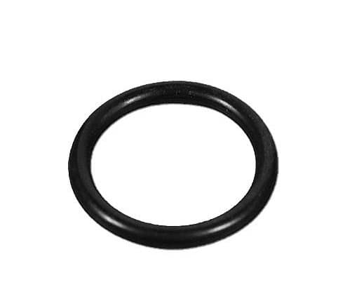 Waterway O-Ring .5" Truseal Valve - 805-0116EP