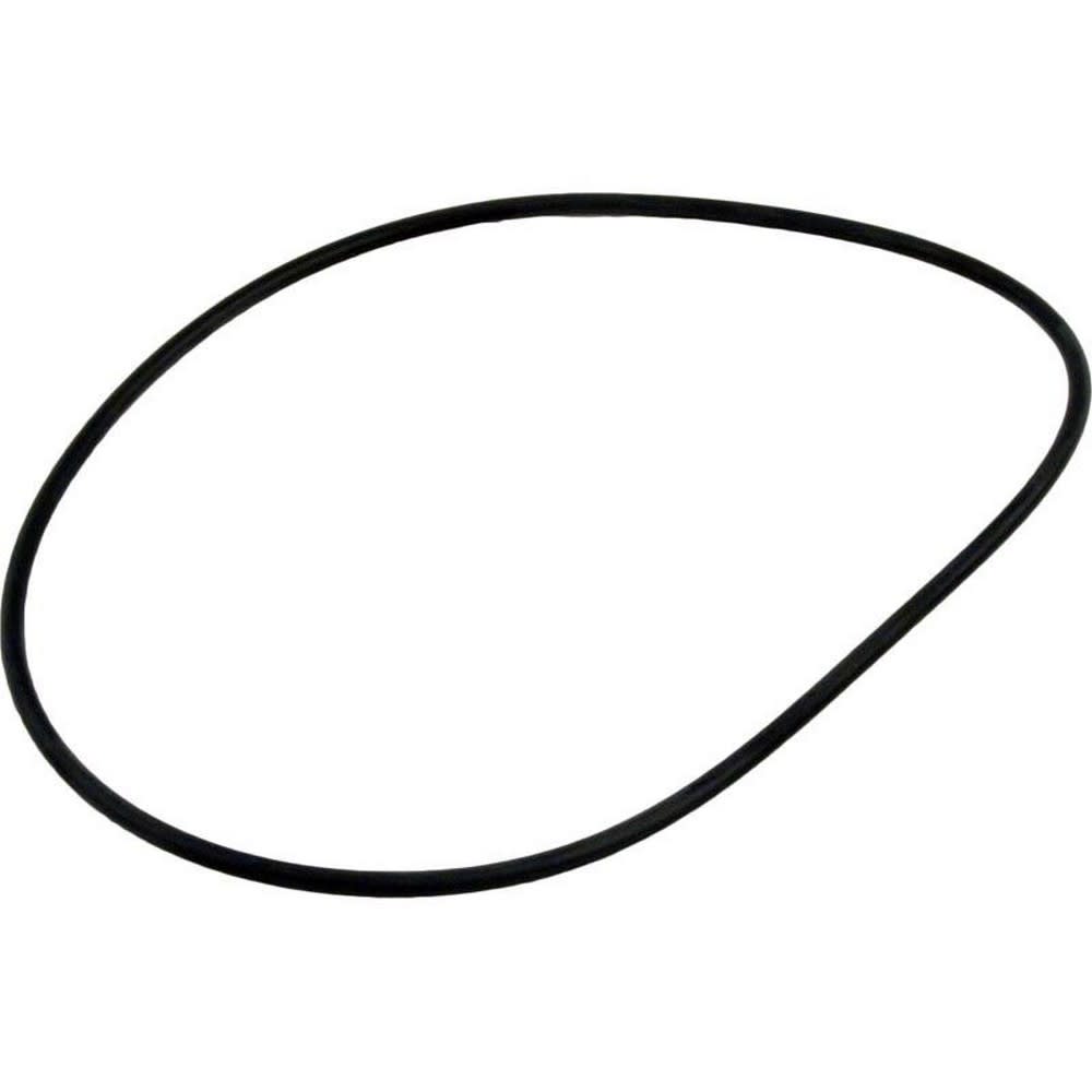 Waterway Lid O-Ring Crystal Water DE Mpv - 805-0254