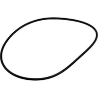 Waterway Lid O-Ring Crystal Water DE Mpv - 805-0254