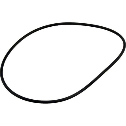 Waterway Lid O-Ring Crystal Water DE Mpv - 805-0254