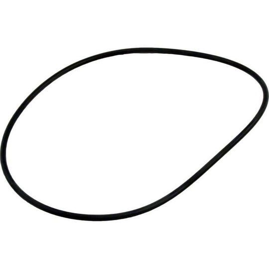 Waterway Lid O-Ring Crystal Water DE Mpv - 805-0254