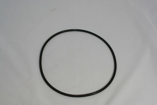 Waterway Proclean Plus Lid O-Ring - 805-0448