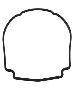 Waterway Seal Plate Gasket Champion/ Smf - 806-1400