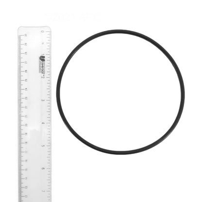 Pentair O-Ring Rplcmnt Kit O-Ring Pentair - ZBR12200
